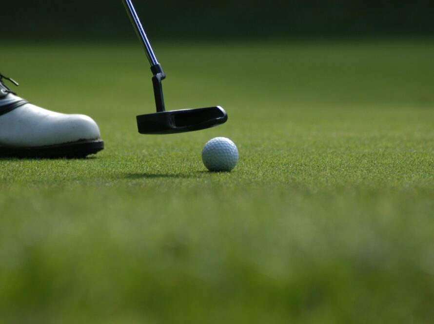 mick de paola LUPJoR3OfEg unsplash 1